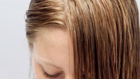 أقنعة طبيعية منزلية لعلاج الشعر الدهني