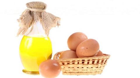 فوائد زيت البيض للشعر والطريقة الصحيحة لاستخدامه