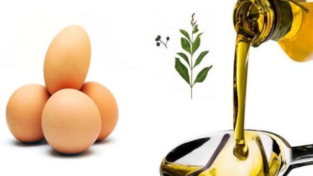 ماسك البيض وزيت الزيتون للشعر