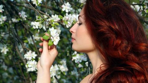 جربي أفضل وصفات الحناء لعلاج قشرة الرأس