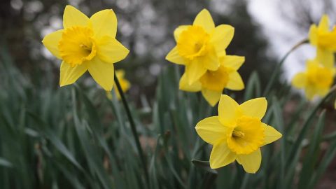 كيف تغيرين وتتابعين تغيير شخصيتك؟