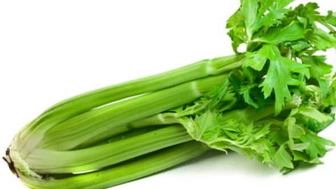 تعرفي على الفوائد الصحية التي يمنحها الكرفس للجسم