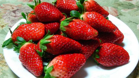 تعرفي على فوائد الفراولة للجسم والبشرة