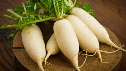 تعرفي على فوائد اللفت للجسم