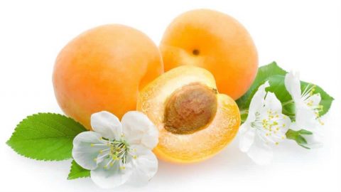 وصفات المشمش لبشرة ناعمة ونقية