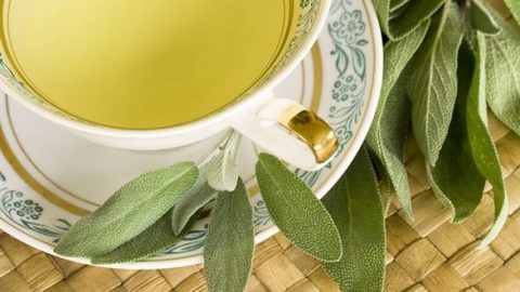 لنبتة المرمرية فوائد صحية مذهلة .. تعرفي عليها