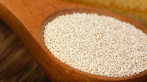 5 فوائد جمالية للخميرة على بشرة الوجه .. تعرفي عليها واكتشفي استخداماتها