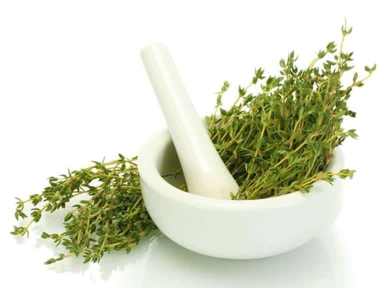 thyme