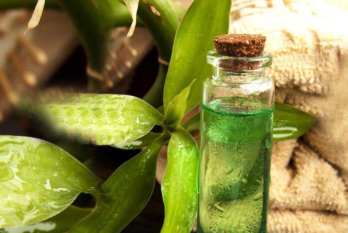 زيت-شجرة-الشاي-212