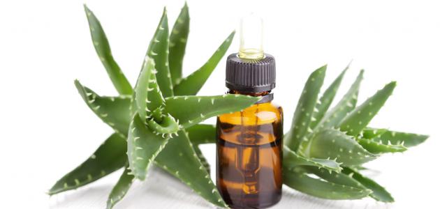 فوائد_زيت_الصبار
