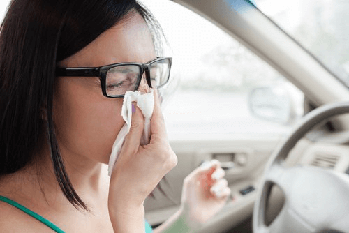 Les-10-incroyables-propriétés-de-la-cannelle-pour-la-santé-problèmes-respiratoires
