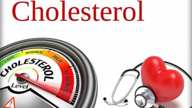 كل ما عليك معرفته عن الكوليسترول تجدينه في هذا المقال