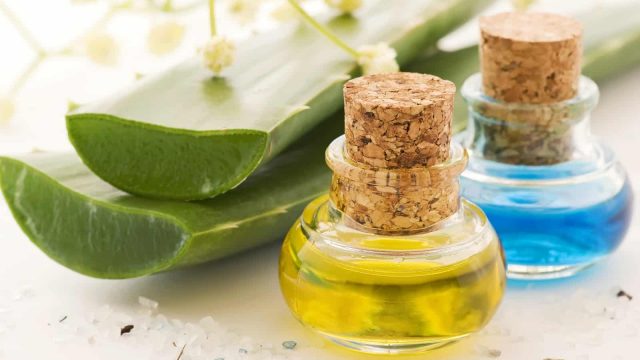 لزيتي التين الشوك فوائد مذهلة على الشعر .. اكتشفيها الآن