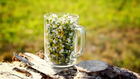 أفضل المشروبات التي تساعد على النوم