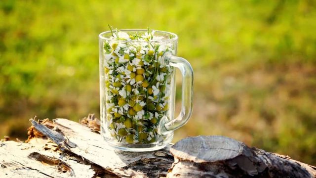 أفضل المشروبات التي تساعد على النوم