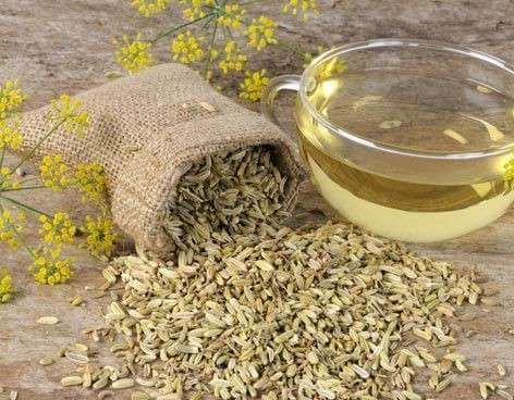 infusion-constipation-fenouille