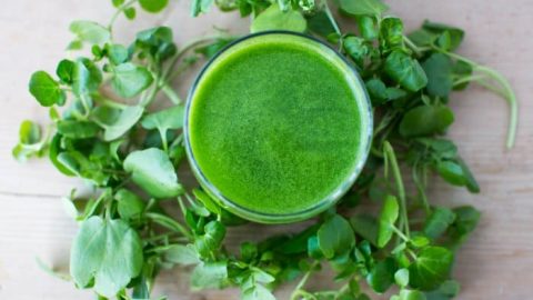 طرق تطبيق أقنعة الجرجير للعناية بالشعر