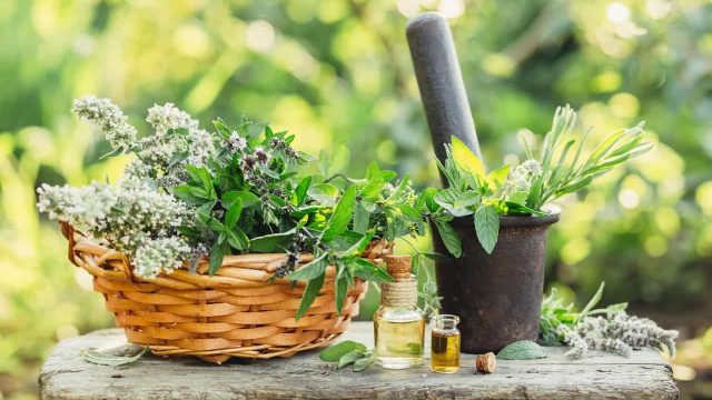 لعشبة القطف فوائد جمة للنساء .. تعرفي عليها الآن