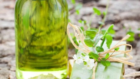 اصنعي بنفسك شامبو الأعشاب للعناية بشعرك بشكل جيد