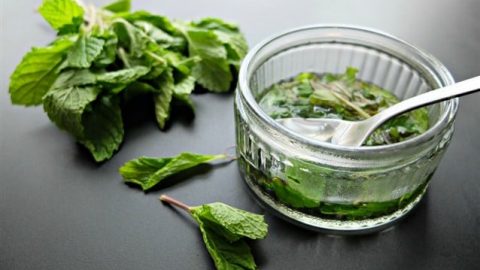 اكتشفي خلطات النعناع الطبيعية لعلاج مشاكل البشرة الدهنية