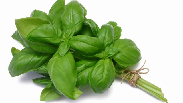 إليك طريقة استخدام الريحان للعناية بشعرك