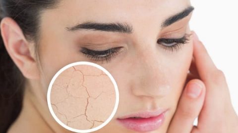 كريم الزنجبيل والسمسم لعلاج جفاف البشرة