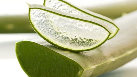 اكتشفي الاستخدامات الجمالية لزيت الصبار