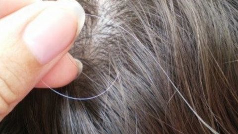وصفات طبيعية لمكافحة الشعر الأبيض