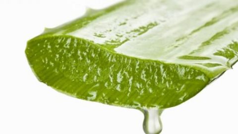 استخدامات صحية متنوعة لهلام الصبار تعرفي عليها