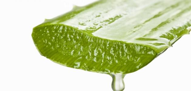 استخدامات صحية متنوعة لهلام الصبار تعرفي عليها