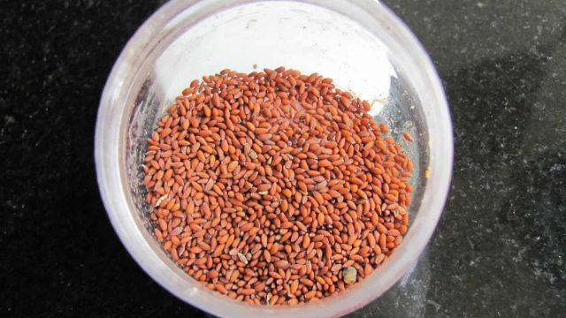 قناع حب الرشاد وزيت الزيتون لعلاج الشعر الخفيف