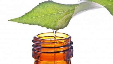 11 وصفة طبيعية لعلاج الفطريات على الجلد