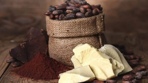 تعرفي على زبدة الكاكاو واكتشفي أبرز فوائدها الجمالية