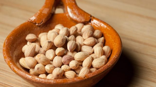 عشبة المحلب : كنز من الفوائد الصحية والجمالية.. اكتشفيها