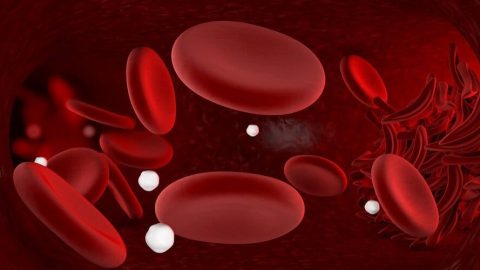 علاجات فعالة للتخلص من فقر الدم بطريقة طبيعية
