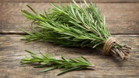 اكتشفي معنا فوائد إكليل الجبل وطرق استخدامه