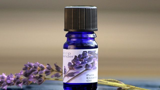 زيت اللافندر سلاحك لعلاج مشاكل الشعر هذا الصيف