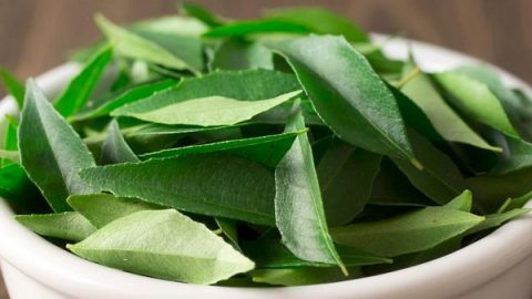 تعرفي على الفوائد الصحية المذهلة لأوراق الكاري