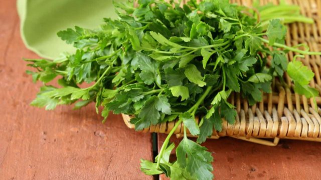 مشروب البقدونس لتنقية الكلى