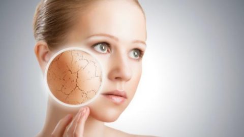 علاجات طبيعية للعناية بالبشرة الجافة