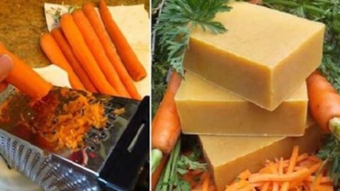 طريقة صنع صابون الجزر للعناية بالبشرة