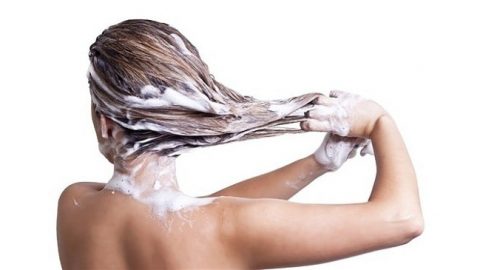 طرق علاج فطريات الشعر