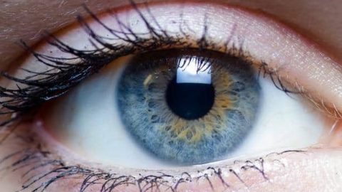 أطعمة صحية تقوي النظر.. اكتشفيها