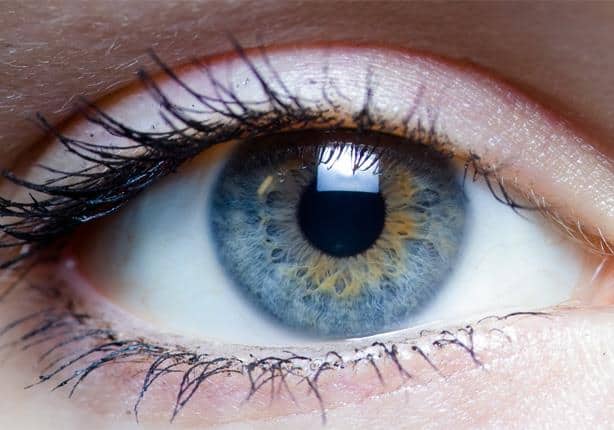 أطعمة صحية تقوي النظر.. اكتشفيها