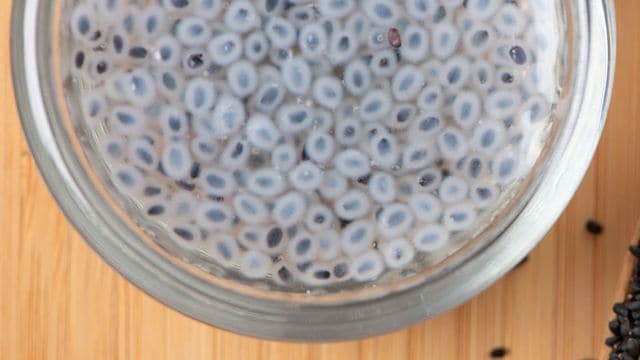 طريقة تحضير عصير بذور الريحان اللذيذ