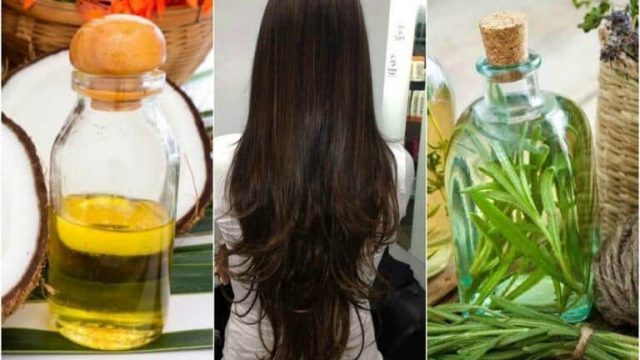 علاج زيت جوز الهند وإكليل الجبل لتطويل الشعر