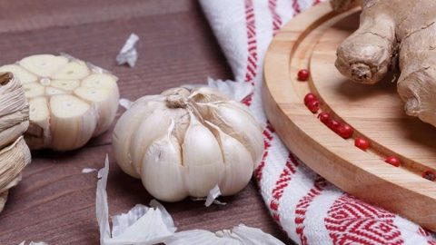 مكونات طبيعية لعلاج الالتهابات الطفيلية