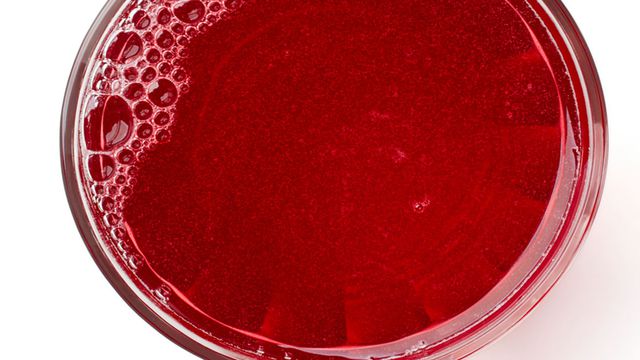 دللي زوجك وجهزي السوبيا الحجازية مع الغداء