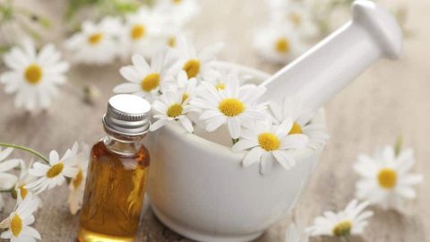 أسرار علاج مشاكل البشرة بأزهار البابونج