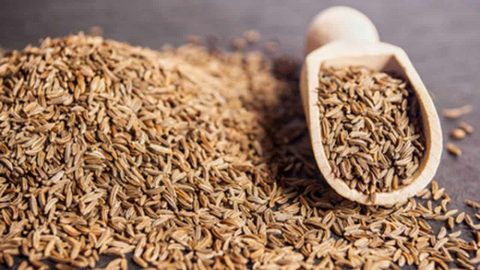 حمية الكمون للتخلص من الوزن الزائد